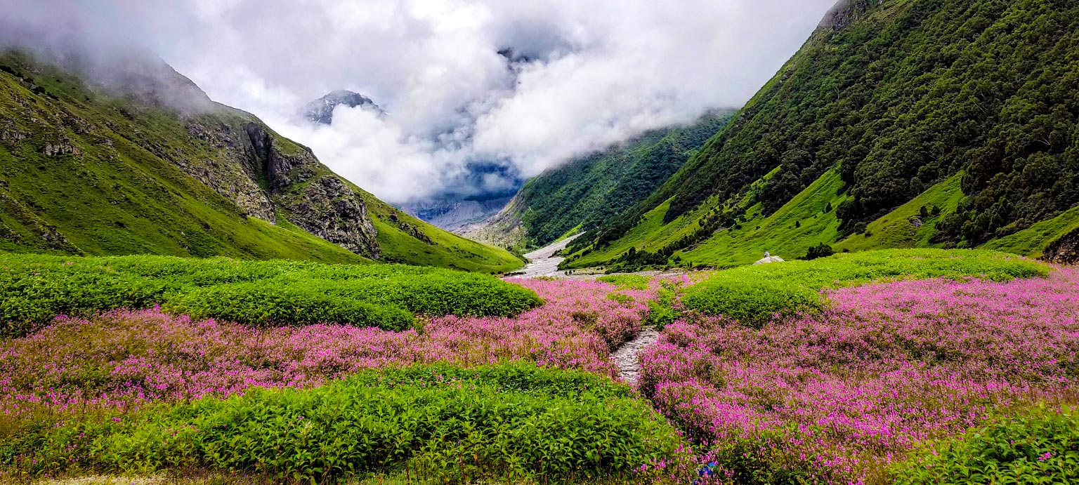 Valley of Flowers Trek Best Time to Visit