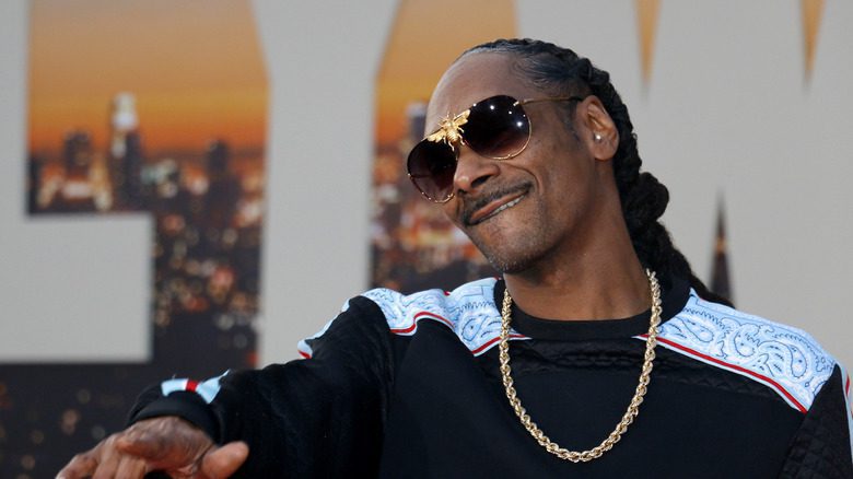 Snoop Dogg net worth 2022